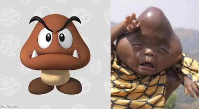 GOOMBA | image tagged in kill me now,why are you laughing,go to hell | made w/ Imgflip meme maker