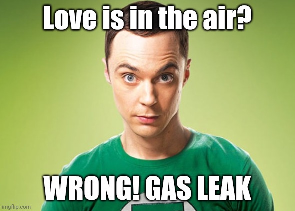 Sheldon Cooper | Love is in the air? WRONG! GAS LEAK | image tagged in sheldon cooper | made w/ Imgflip meme maker