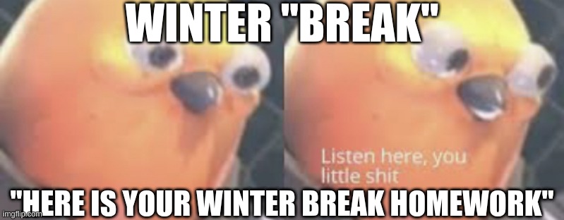 meme number 3 | WINTER "BREAK"; "HERE IS YOUR WINTER BREAK HOMEWORK" | image tagged in listen here you little shit bird | made w/ Imgflip meme maker