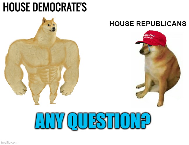 Buff Doge vs. Cheems Meme | HOUSE DEMOCRATE'S HOUSE REPUBLICANS ANY QUESTION? | image tagged in memes,buff doge vs cheems | made w/ Imgflip meme maker