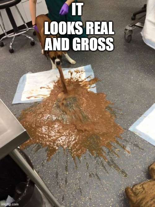 dog vomit | IT LOOKS REAL AND GROSS | image tagged in dog vomit | made w/ Imgflip meme maker