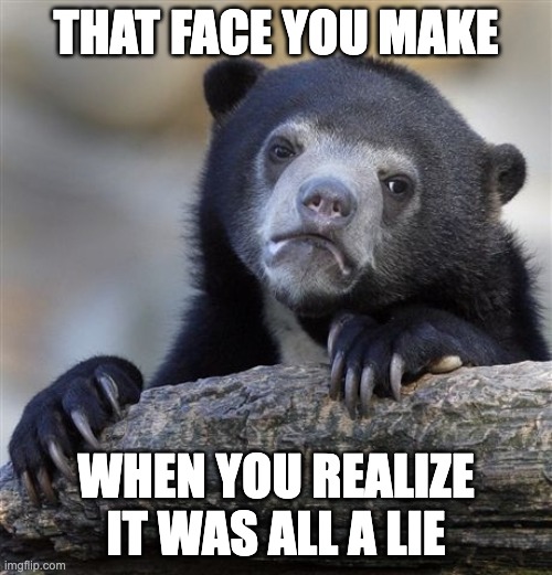 Confession Bear | THAT FACE YOU MAKE; WHEN YOU REALIZE IT WAS ALL A LIE | image tagged in memes,confession bear | made w/ Imgflip meme maker