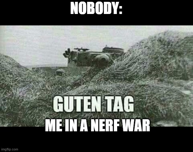 German guten tag tiger | NOBODY:; ME IN A NERF WAR | image tagged in german guten tag tiger | made w/ Imgflip meme maker