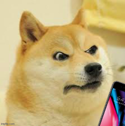 angry doge with phone | image tagged in angry doge with phone | made w/ Imgflip meme maker
