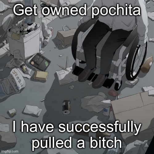 Avogado6 | Get owned pochita; I have successfully pulled a bitch | image tagged in avogado6 | made w/ Imgflip meme maker