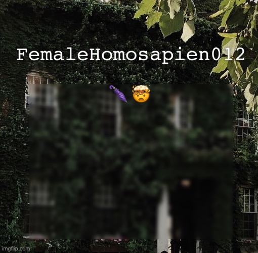 FemaleHomosapien012 | 🌂 🤯 | image tagged in femalehomosapien012 | made w/ Imgflip meme maker