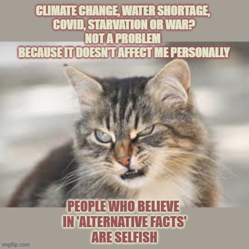 This #lolcat wonders if people know what does who believe in 'alternative facts' all have in common | CLIMATE CHANGE, WATER SHORTAGE, 
COVID, STARVATION OR WAR?
NOT A PROBLEM 
BECAUSE IT DOESN'T AFFECT ME PERSONALLY; PEOPLE WHO BELIEVE 
IN 'ALTERNATIVE FACTS'
ARE SELFISH | image tagged in alternative facts,lolcat,climate change,problems | made w/ Imgflip meme maker