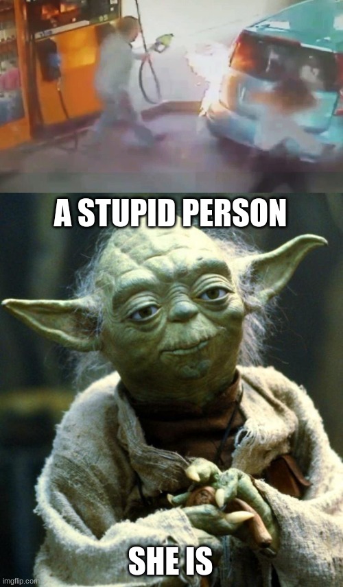 M | A STUPID PERSON; SHE IS | image tagged in memes,star wars yoda | made w/ Imgflip meme maker