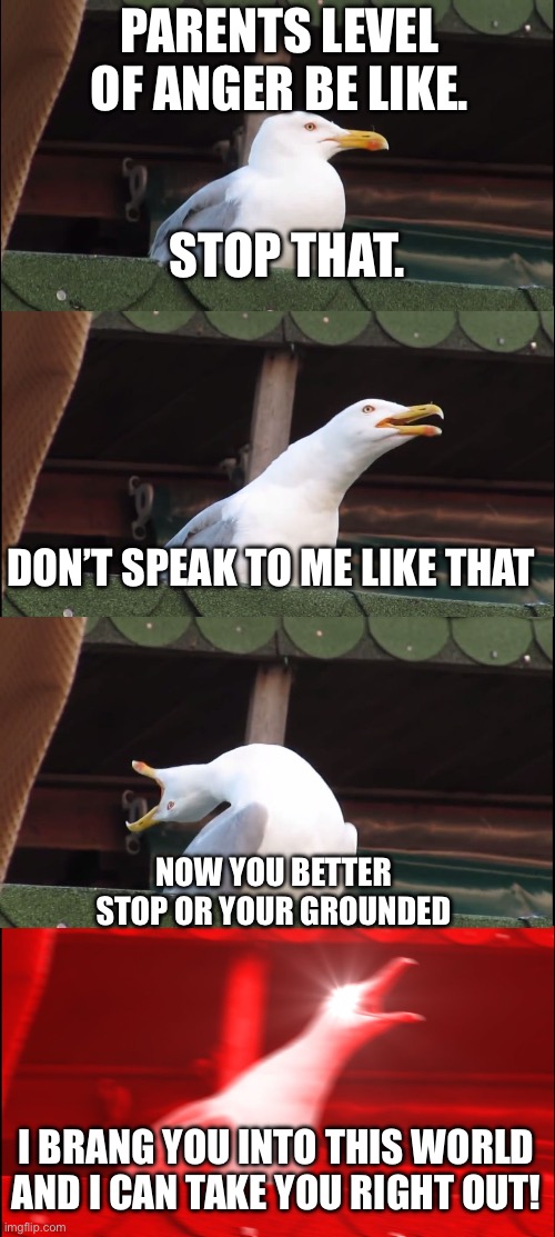 Inhaling Seagull Meme | PARENTS LEVEL OF ANGER BE LIKE. STOP THAT. DON’T SPEAK TO ME LIKE THAT; NOW YOU BETTER STOP OR YOUR GROUNDED; I BRANG YOU INTO THIS WORLD AND I CAN TAKE YOU RIGHT OUT! | made w/ Imgflip meme maker