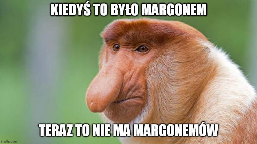 nosacz | KIEDYŚ TO BYŁO MARGONEM; TERAZ TO NIE MA MARGONEMÓW | image tagged in nosacz | made w/ Imgflip meme maker