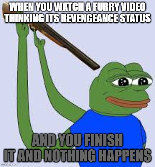 sad music commences | WHEN YOU WATCH A FURRY VIDEO THINKING ITS REVENGEANCE STATUS; AND YOU FINISH IT AND NOTHING HAPPENS | image tagged in shotgun suicide pepe | made w/ Imgflip meme maker