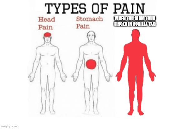 Types of Pain | WHEN YOU SLAM YOUR FINGER IN GORILLA TAG | image tagged in types of pain | made w/ Imgflip meme maker