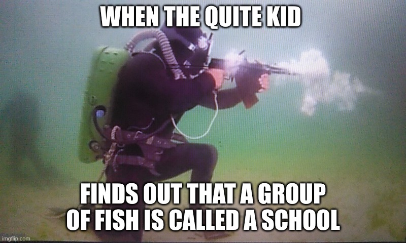 Gun-der The Sea | WHEN THE QUITE KID; FINDS OUT THAT A GROUP OF FISH IS CALLED A SCHOOL | image tagged in gun-der the sea | made w/ Imgflip meme maker