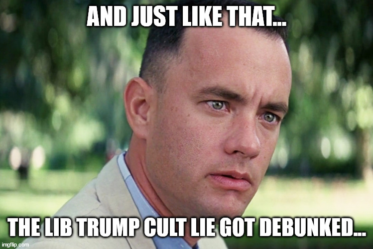 And Just Like That Meme | AND JUST LIKE THAT... THE LIB TRUMP CULT LIE GOT DEBUNKED... | image tagged in memes,and just like that | made w/ Imgflip meme maker