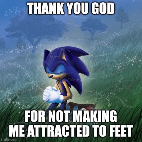 praying sonic | THANK YOU GOD FOR NOT MAKING ME ATTRACTED TO FEET | image tagged in praying sonic | made w/ Imgflip meme maker