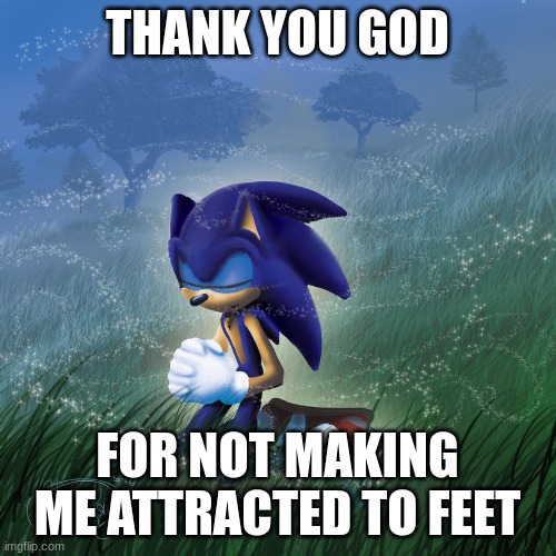 praying sonic | THANK YOU GOD; FOR NOT MAKING ME ATTRACTED TO FEET | image tagged in praying sonic | made w/ Imgflip meme maker