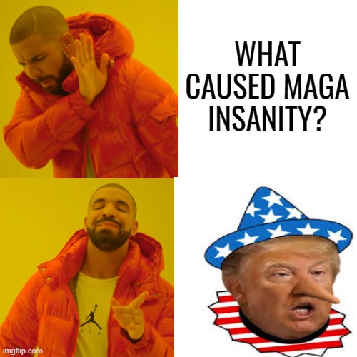 WHAT CAUSED MAGA INSANITY? | made w/ Imgflip meme maker