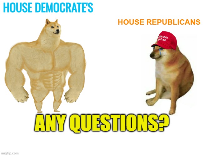 Buff Doge vs. Cheems Meme | HOUSE DEMOCRATE'S HOUSE REPUBLICANS ANY QUESTIONS? | image tagged in memes,buff doge vs cheems | made w/ Imgflip meme maker