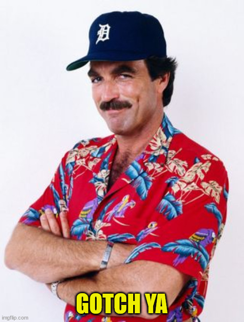 Magnum PI | GOTCH YA | image tagged in magnum pi | made w/ Imgflip meme maker