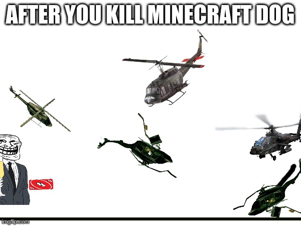 the minecraft doggo | AFTER YOU KILL MINECRAFT DOG | image tagged in certified bruh moment,waste of time | made w/ Imgflip meme maker