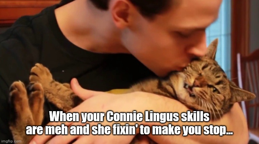 Connie and the dork | When your Connie Lingus skills are meh and she fixin' to make you stop... | image tagged in funny | made w/ Imgflip meme maker