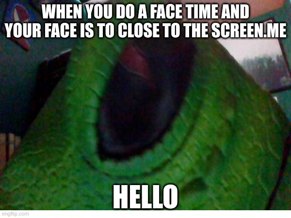 lizzzzzzard | WHEN YOU DO A FACE TIME AND YOUR FACE IS TO CLOSE TO THE SCREEN.ME; HELLO | image tagged in lizard | made w/ Imgflip meme maker