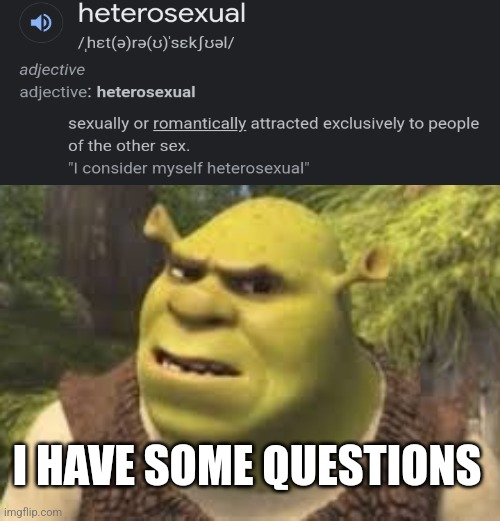 Does that make me heterosexual? | I HAVE SOME QUESTIONS | image tagged in confused shrek | made w/ Imgflip meme maker