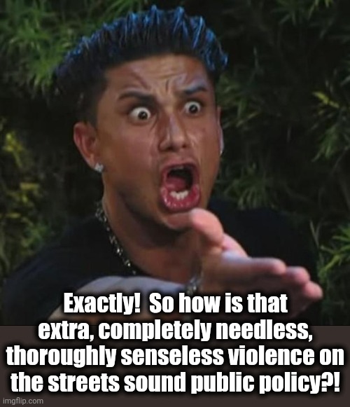 DJ Pauly D Meme | Exactly!  So how is that extra, completely needless, thoroughly senseless violence on the streets sound public policy?! | image tagged in memes,dj pauly d | made w/ Imgflip meme maker