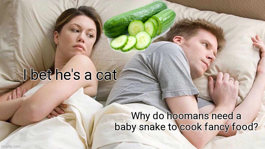 Get it? Cuz cats r afraid of cucumbers | I bet he's a cat; Why do hoomans need a baby snake to cook fancy food? | image tagged in memes,i bet he's thinking about other women,cats,cucumber | made w/ Imgflip meme maker