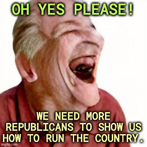 More, more! | OH YES PLEASE! WE NEED MORE REPUBLICANS TO SHOW US HOW TO RUN THE COUNTRY. | image tagged in republicans,incompetence,clowns | made w/ Imgflip meme maker