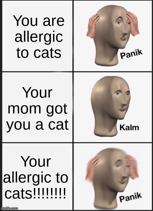 panik calm panik | You are allergic to cats; Your mom got you a cat; Your allergic to cats!!!!!!!! | image tagged in panik calm panik | made w/ Imgflip meme maker