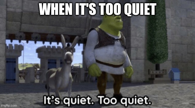 it's too quiet | WHEN IT'S TOO QUIET | image tagged in it s quiet too quiet shrek,fun,funny | made w/ Imgflip meme maker