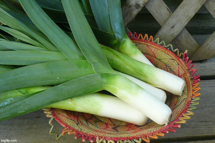 Leek | image tagged in leek | made w/ Imgflip meme maker