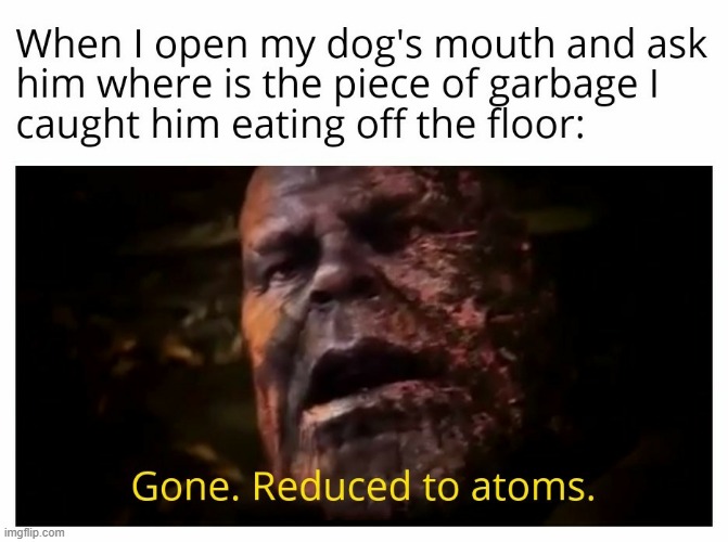 Damn Dog | image tagged in thanos | made w/ Imgflip meme maker