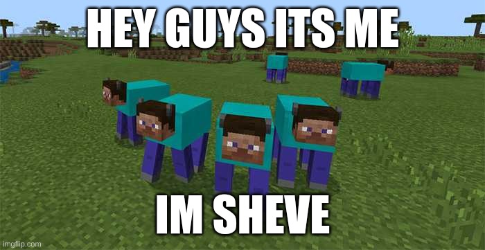 me and the boys | HEY GUYS ITS ME; IM SHEVE | image tagged in me and the boys | made w/ Imgflip meme maker
