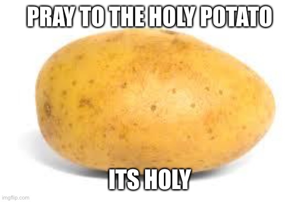 It isnt ik original but my two braincells cant do it better | PRAY TO THE HOLY POTATO; ITS HOLY | image tagged in potato | made w/ Imgflip meme maker