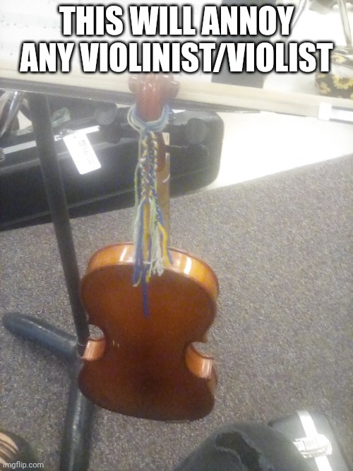 Confirmed by GJHS Intermediate/advanced orchestra, and Mr Swan | THIS WILL ANNOY ANY VIOLINIST/VIOLIST | made w/ Imgflip meme maker