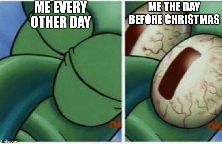 Squidward | ME EVERY OTHER DAY; ME THE DAY BEFORE CHRISTMAS | image tagged in squidward | made w/ Imgflip meme maker