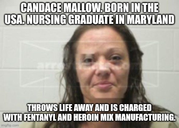 Fentanyl all made in the USA | CANDACE MALLOW. BORN IN THE USA. NURSING GRADUATE IN MARYLAND; THROWS LIFE AWAY AND IS CHARGED WITH FENTANYL AND HEROIN MIX MANUFACTURING. | image tagged in united states,heroin,donald trump approves | made w/ Imgflip meme maker