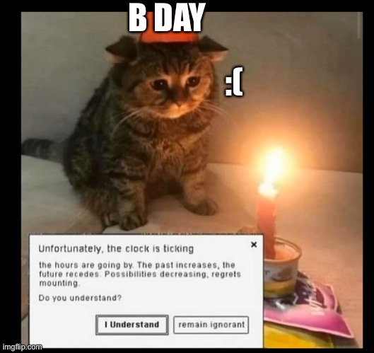 Sad_cat_at_birth_day | B DAY; :( | image tagged in sad_cat_at_birth_day | made w/ Imgflip meme maker