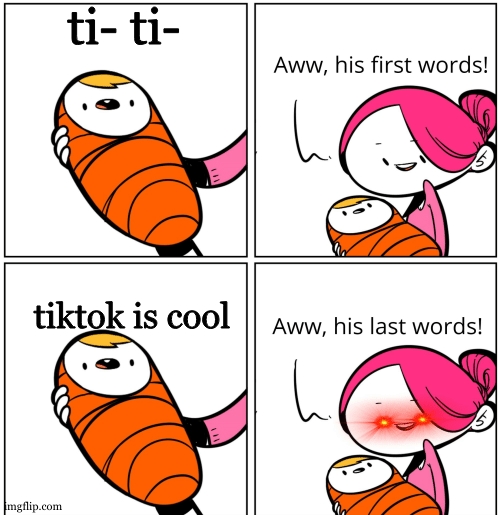 Image title | ti- ti-; tiktok is cool | image tagged in aww his last words | made w/ Imgflip meme maker