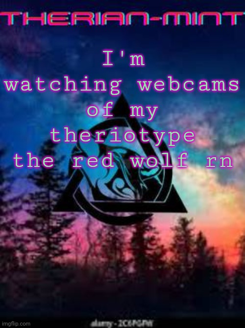 Therian | I'm watching webcams of my theriotype the red wolf rn | image tagged in therian | made w/ Imgflip meme maker