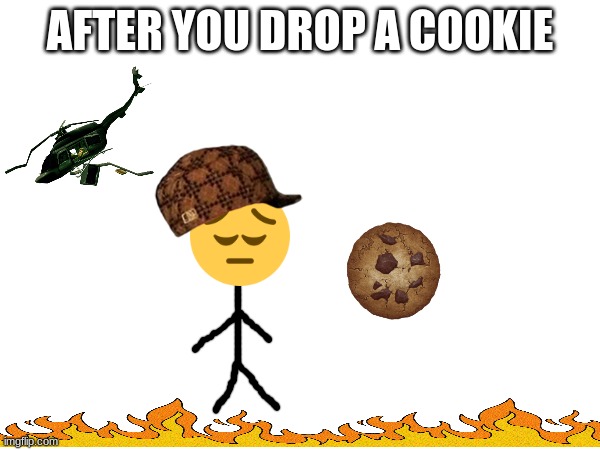 the cookie | AFTER YOU DROP A COOKIE | image tagged in certified bruh moment,why are you reading this | made w/ Imgflip meme maker