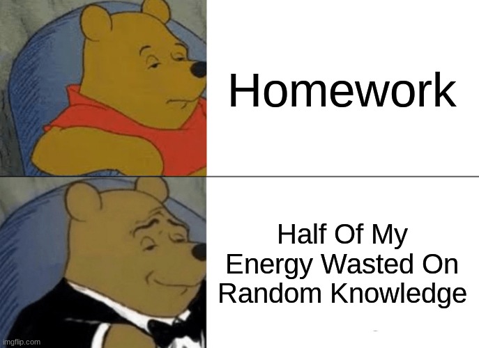 Tuxedo Winnie The Pooh | Homework; Half Of My Energy Wasted On Random Knowledge | image tagged in memes,tuxedo winnie the pooh | made w/ Imgflip meme maker