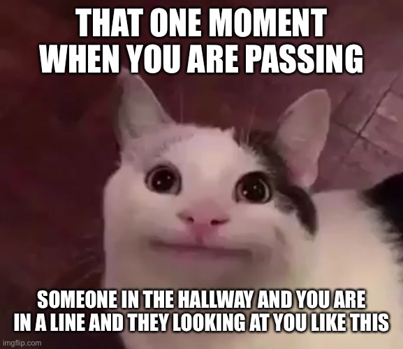 Passing people be like | THAT ONE MOMENT WHEN YOU ARE PASSING; SOMEONE IN THE HALLWAY AND YOU ARE IN A LINE AND THEY LOOKING AT YOU LIKE THIS | image tagged in awkward cat | made w/ Imgflip meme maker