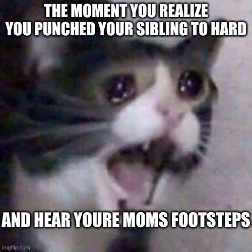 Screaming cat | THE MOMENT YOU REALIZE YOU PUNCHED YOUR SIBLING TO HARD; AND HEAR YOURE MOMS FOOTSTEPS | image tagged in screaming cat | made w/ Imgflip meme maker