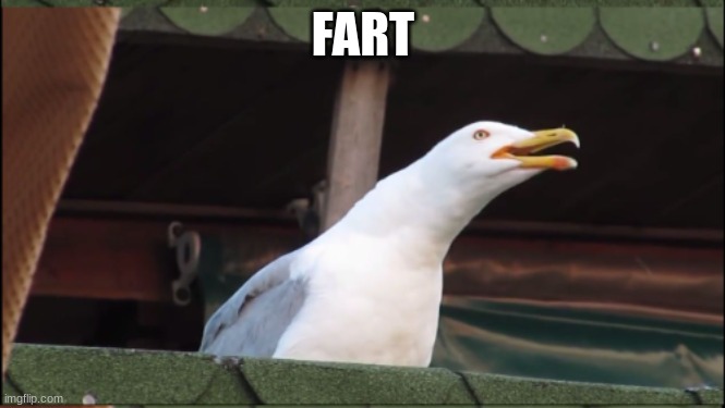 FART | made w/ Imgflip meme maker