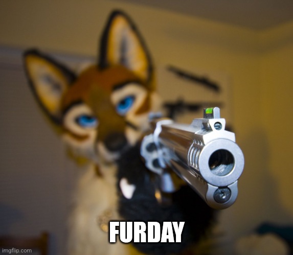 Furry with gun | FURDAY | image tagged in furry with gun | made w/ Imgflip meme maker