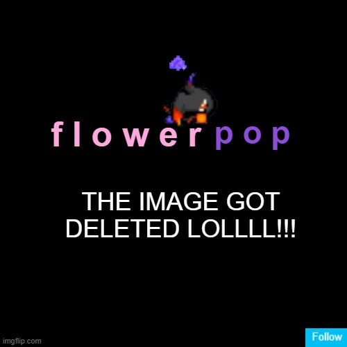 BAHAHAHAHA | THE IMAGE GOT DELETED LOLLLL!!! | image tagged in temp | made w/ Imgflip meme maker