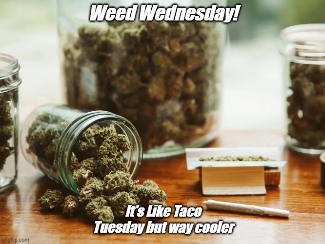 Weed Wednesday | Weed Wednesday! It's Like Taco Tuesday but way cooler | image tagged in weed,taco tuesday,ganja,cool dude | made w/ Imgflip meme maker